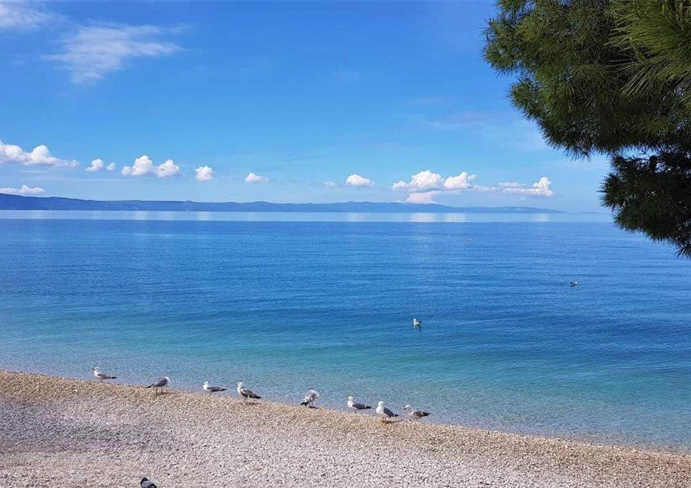 Apartmani Mirona - Tučepi Zewnętrze zdjęcie
