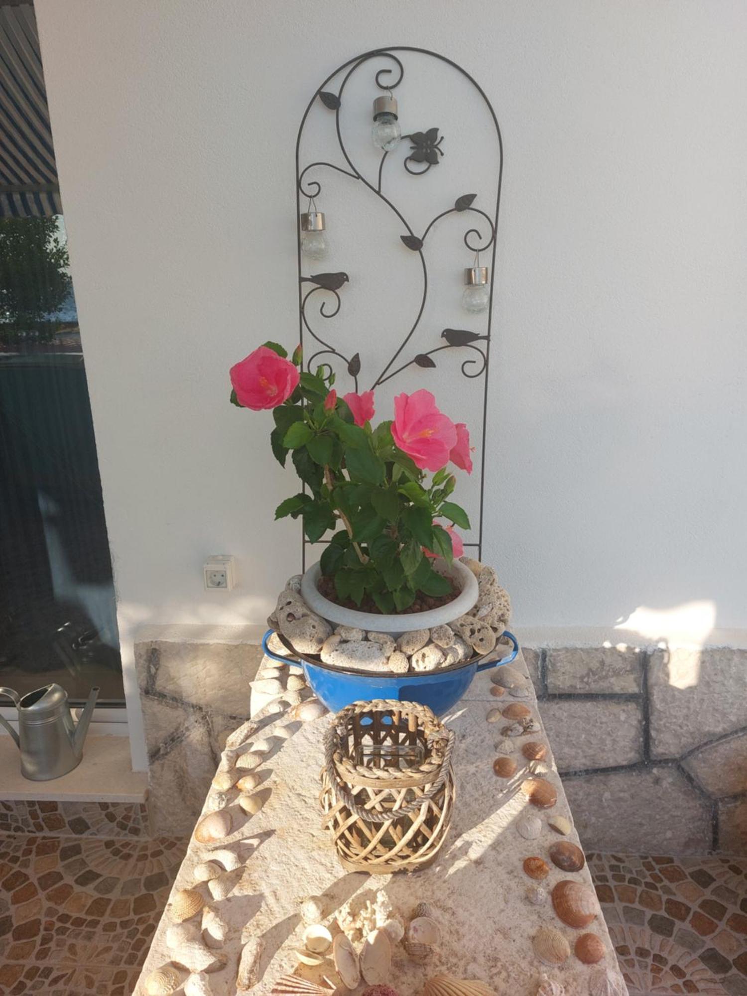 Apartmani Mirona - Tučepi Zewnętrze zdjęcie